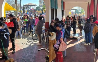 Aplican 75 vacunas y 115 cirugías en jornada animal en Toluca