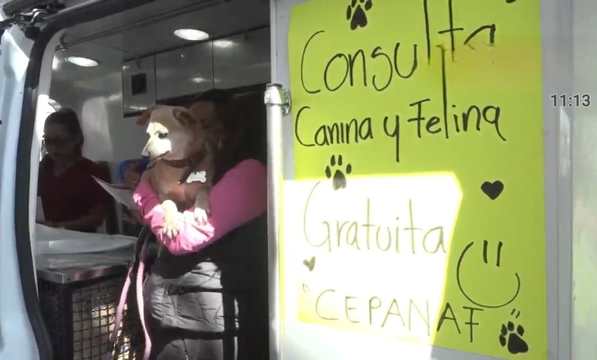 Arranca estrategia CERA para fortalecer bienestar animal en Chicoloapan