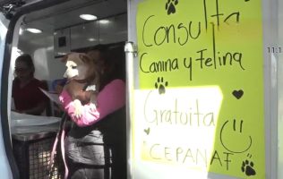 Arranca estrategia CERA para fortalecer bienestar animal en Chicoloapan