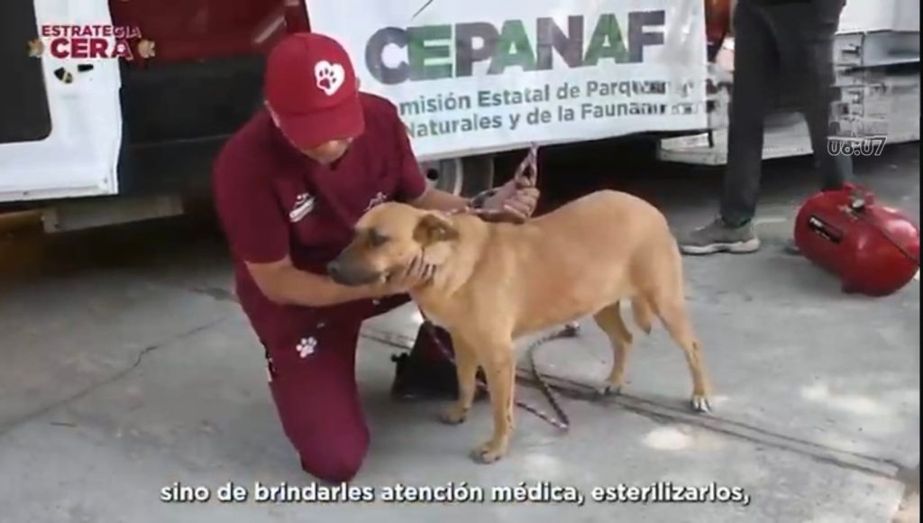 FOTO: Capturas del en vivo