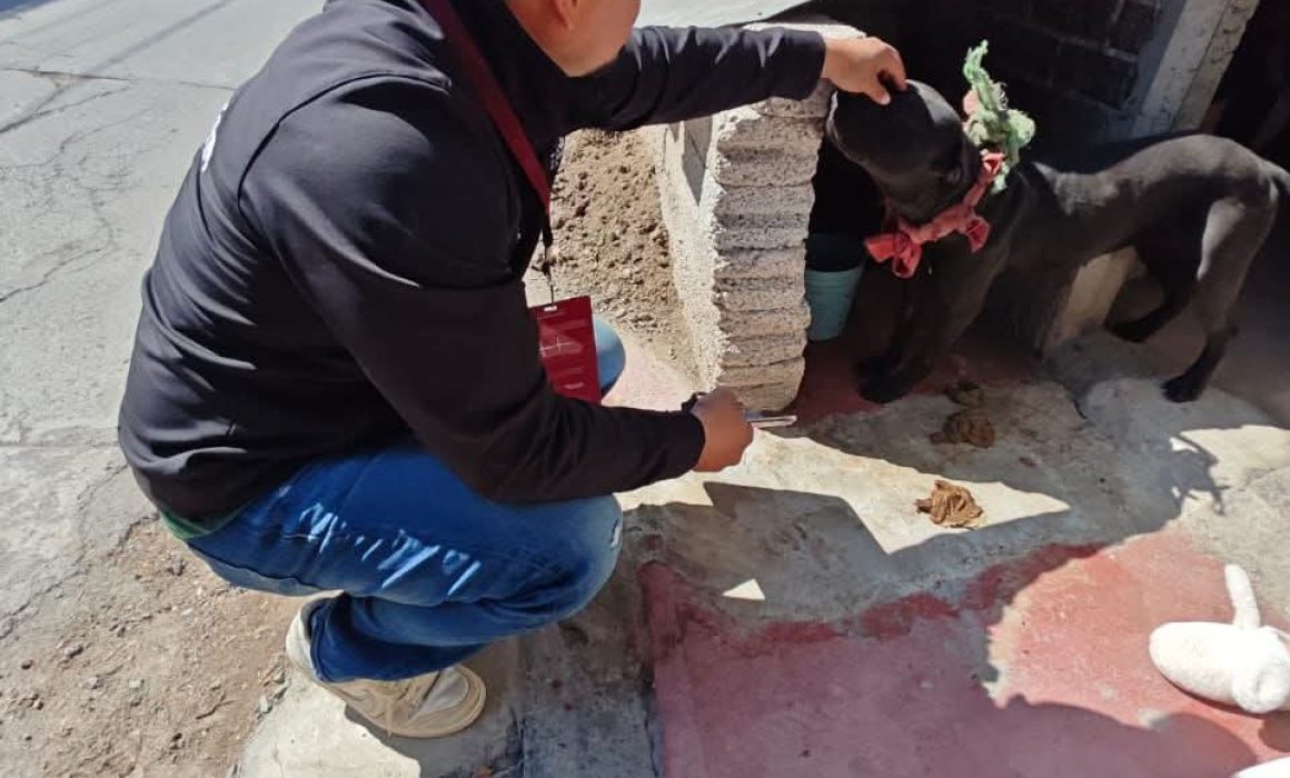 Atiende PROPAEM reporte por presunto maltrato animal en Ecatepec