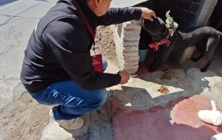 Atiende PROPAEM reporte por presunto maltrato animal en Ecatepec