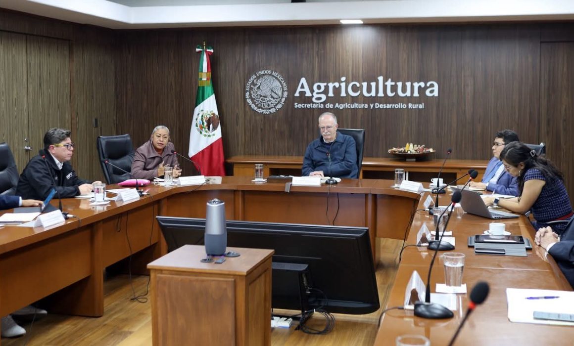 Atienden 75 casos sospechosos de gusano barrenador en Edomex en enero