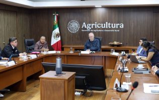 Atienden 75 casos sospechosos de gusano barrenador en Edomex en enero
