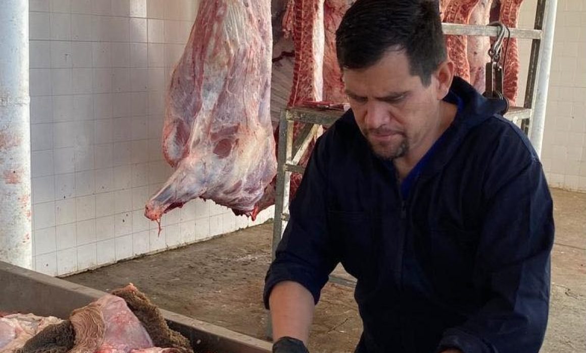 Buscan al gusano barrenador en carnicerías y matanzas del Edomex