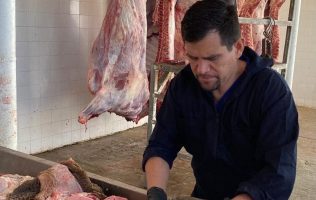 Buscan al gusano barrenador en carnicerías y matanzas del Edomex