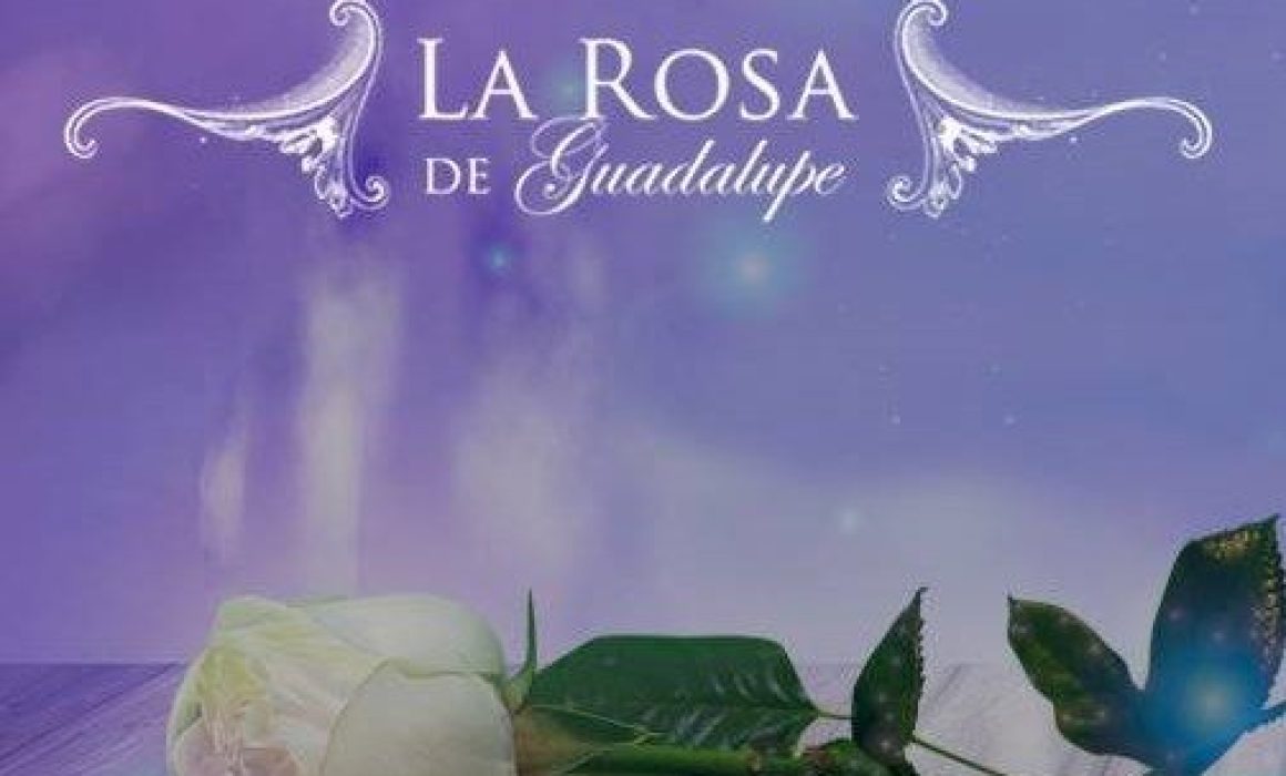 Celebra ‘La Rosa de Guadalupe’ 19 años de llevar fe y amor a los mexicanos