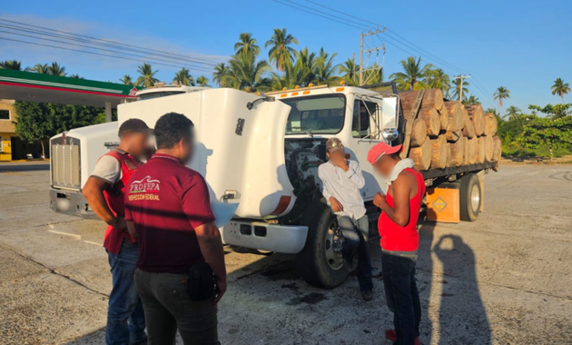 Clausura Profepa aserraderos clandestinos en Jiquipilco y Huixquilucan
