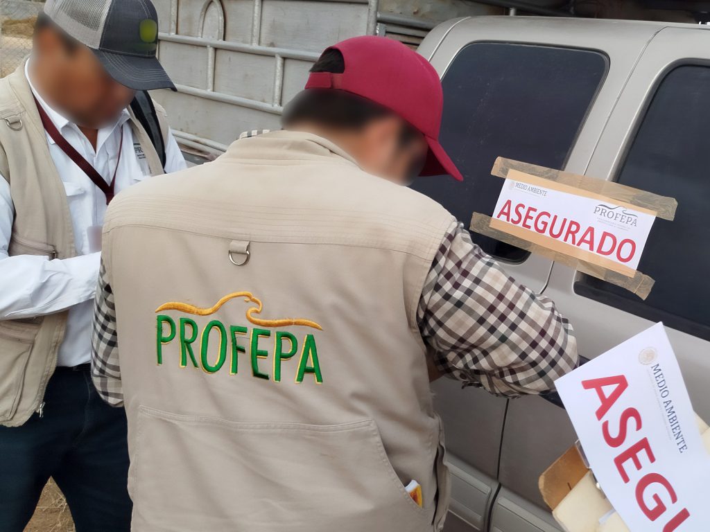 Fotos: PROFEPA