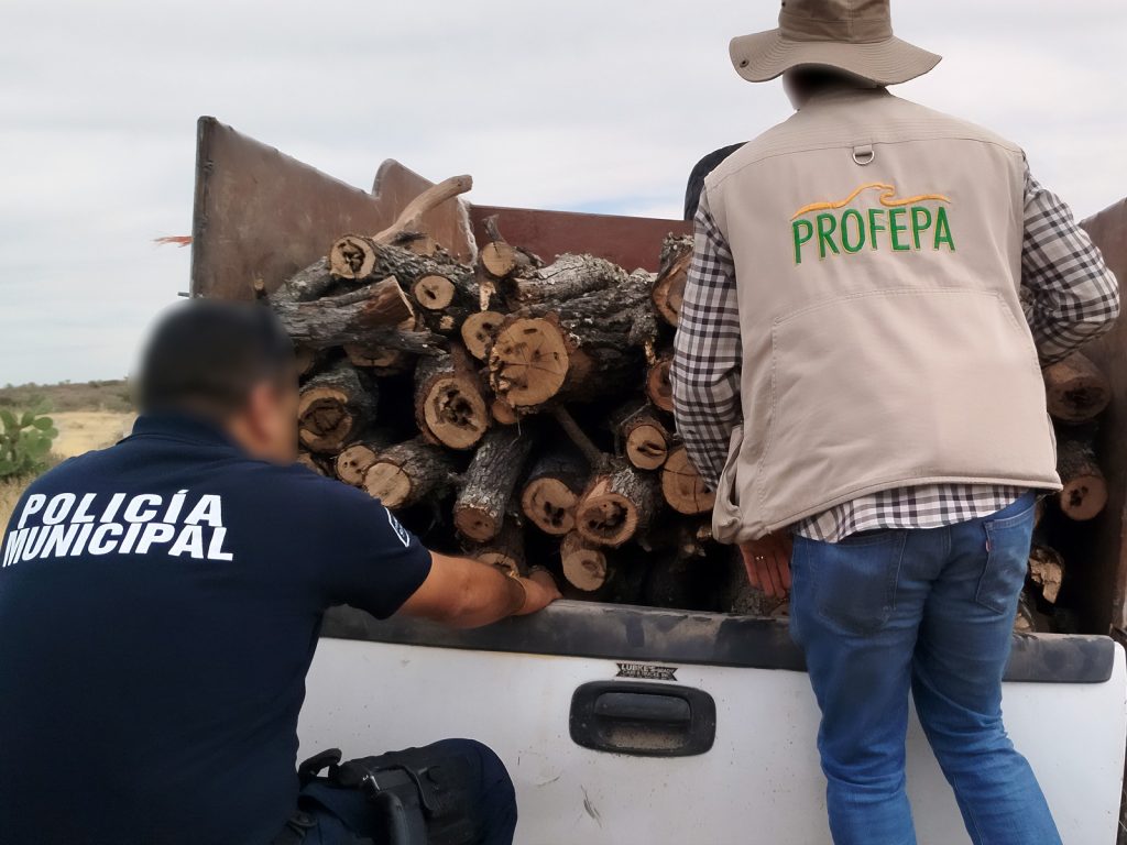 Fotos: PROFEPA