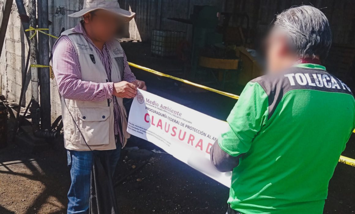 Clausura Profepa tala ilegal y focos de contaminación en Edomex
