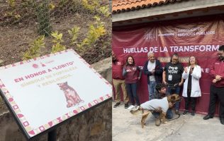 Colocan placa conmemorativa en Naucalpan en honor a ‘Lobito’