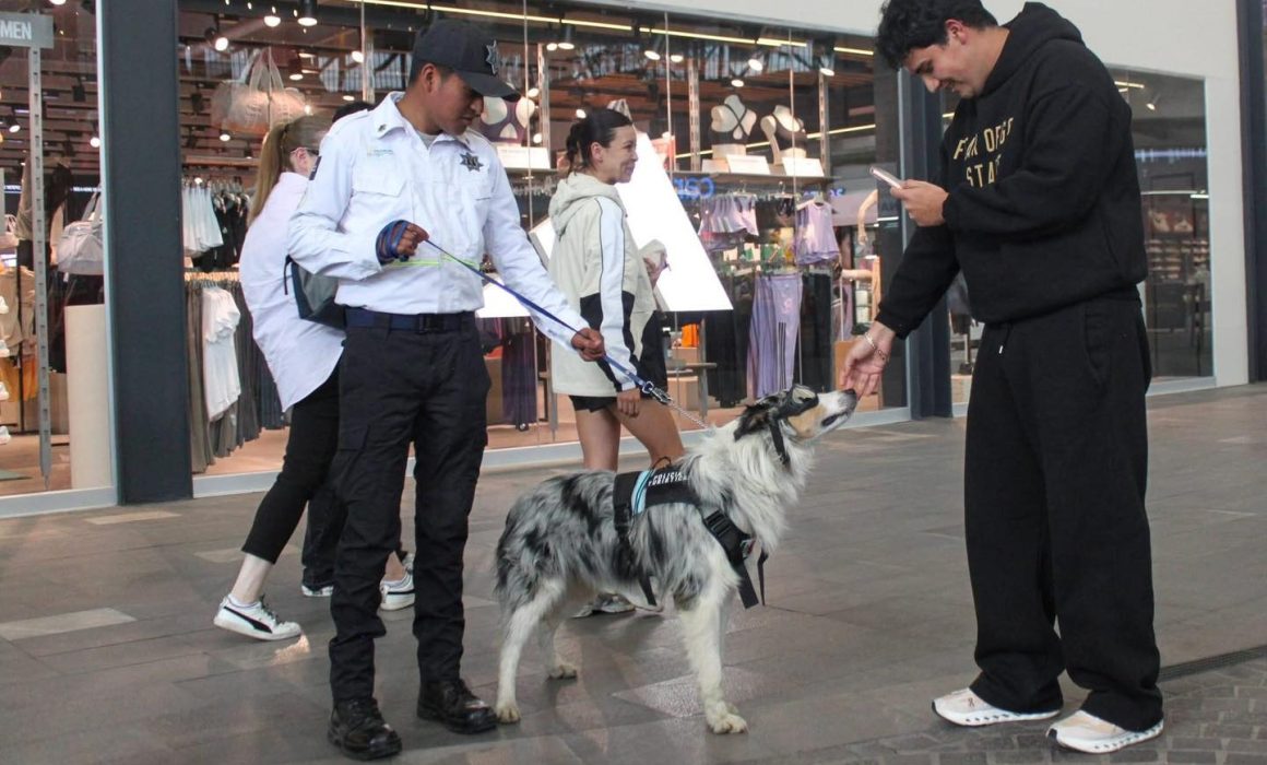 Construyen un Metepec más seguro con vigilancia canina en plazas