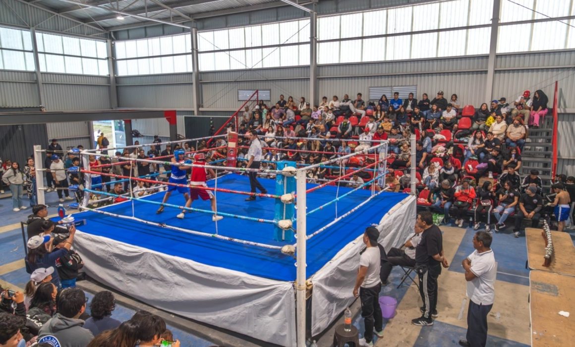 Darán en Tianguistenco función de box amateur en San Pedro Tlaltizapán