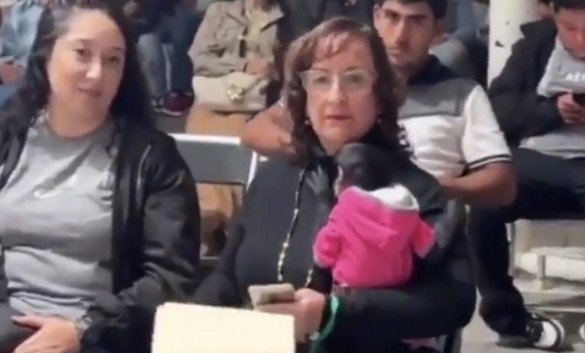 Denuncia Profepa a regidora de Ocotlán por posesión ilegal de mono araña