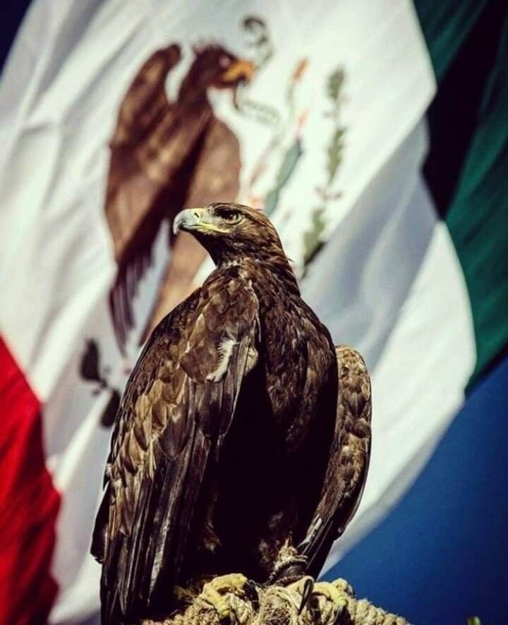 Foto: Gobierno del Estado de México  y FB: Iluminarte