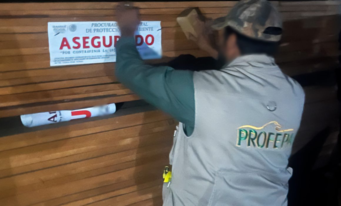 Descubren madera ilegal y clausuran aserradero en Edomex