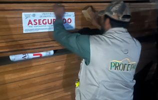 Descubren madera ilegal y clausuran aserradero en Edomex