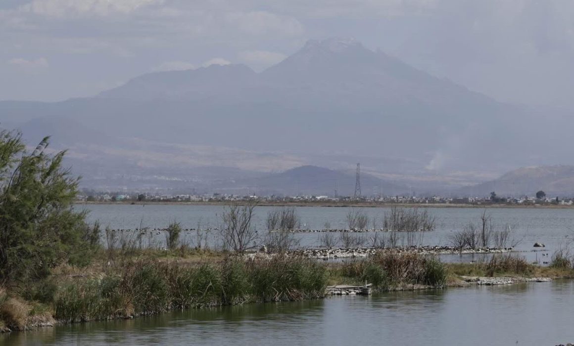 Destacan Lago de Texcoco como pulmón natural mexiquense