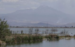 Destacan Lago de Texcoco como pulmón natural mexiquense
