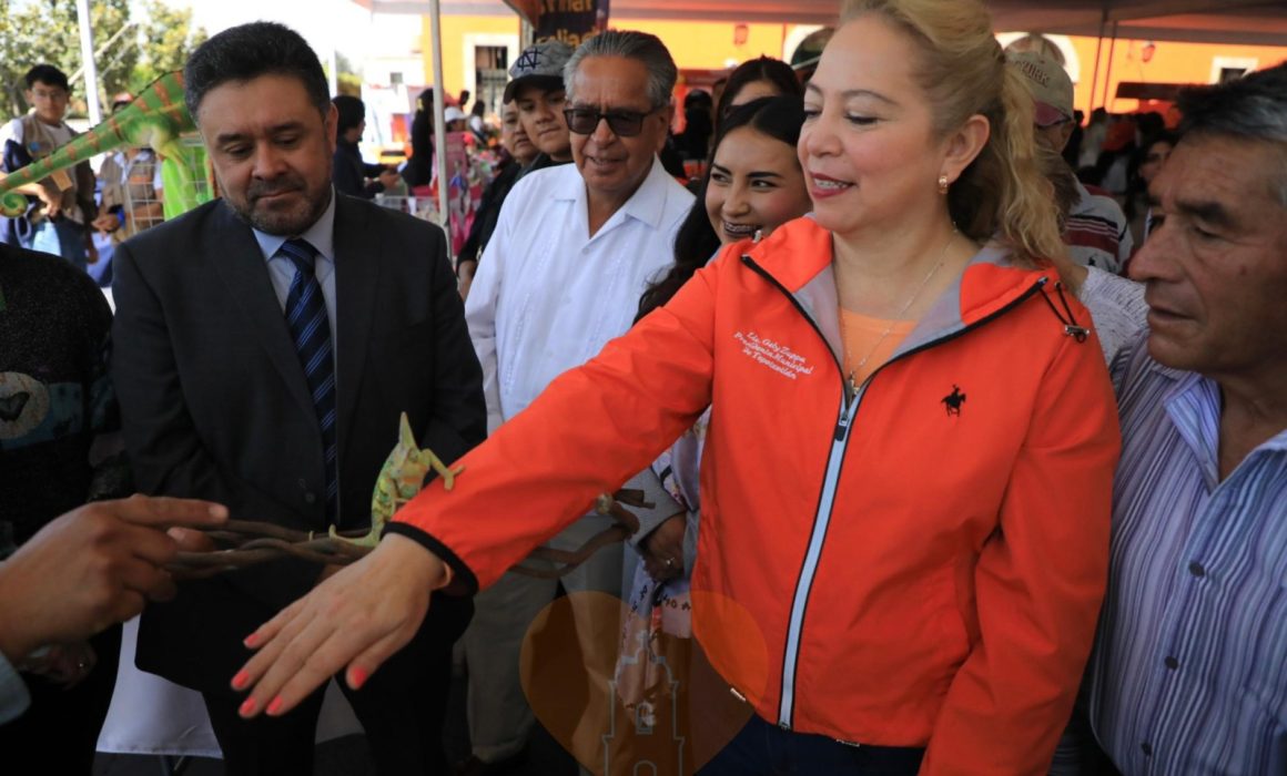 Destina alcaldesa de Tepotzotlán recursos de obras a promoción personal
