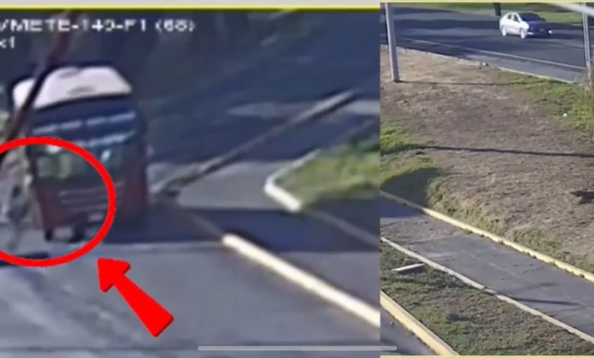 Difunden video de mujer que murió al caer de camión en Metepec