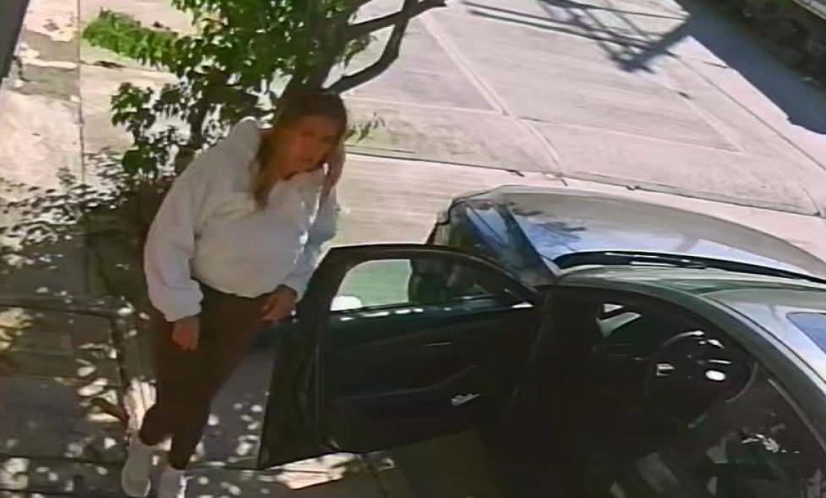 Exhiben a Lady Basura, mujer que tiene su propio tiradero clandestino