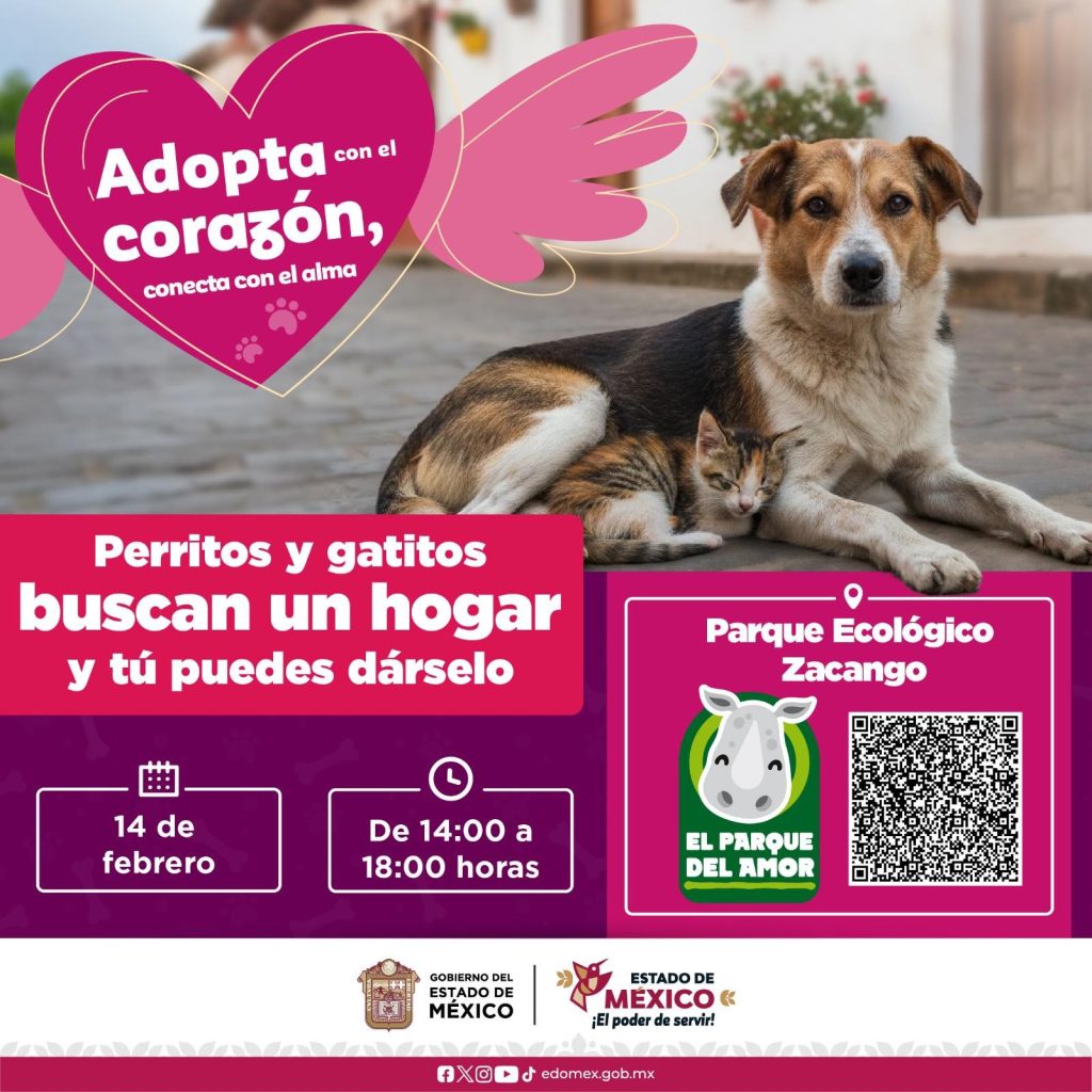 Foto: FB Delfina Gómez 