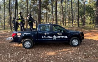 Implementan operativo Mariposa Monarca 2026 en bosques del Edomex
