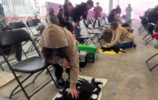 Impulsa Tecámac campañas gratuitas de esterilización para mascotas