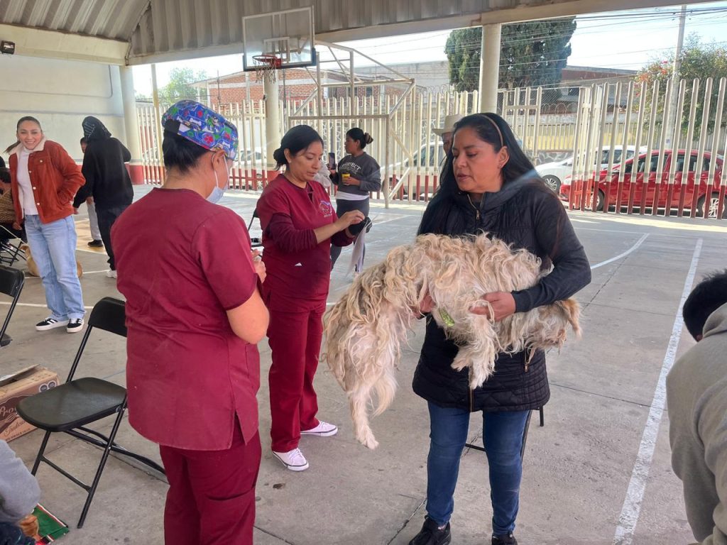 FOTO: Gobierno del Estado de México
