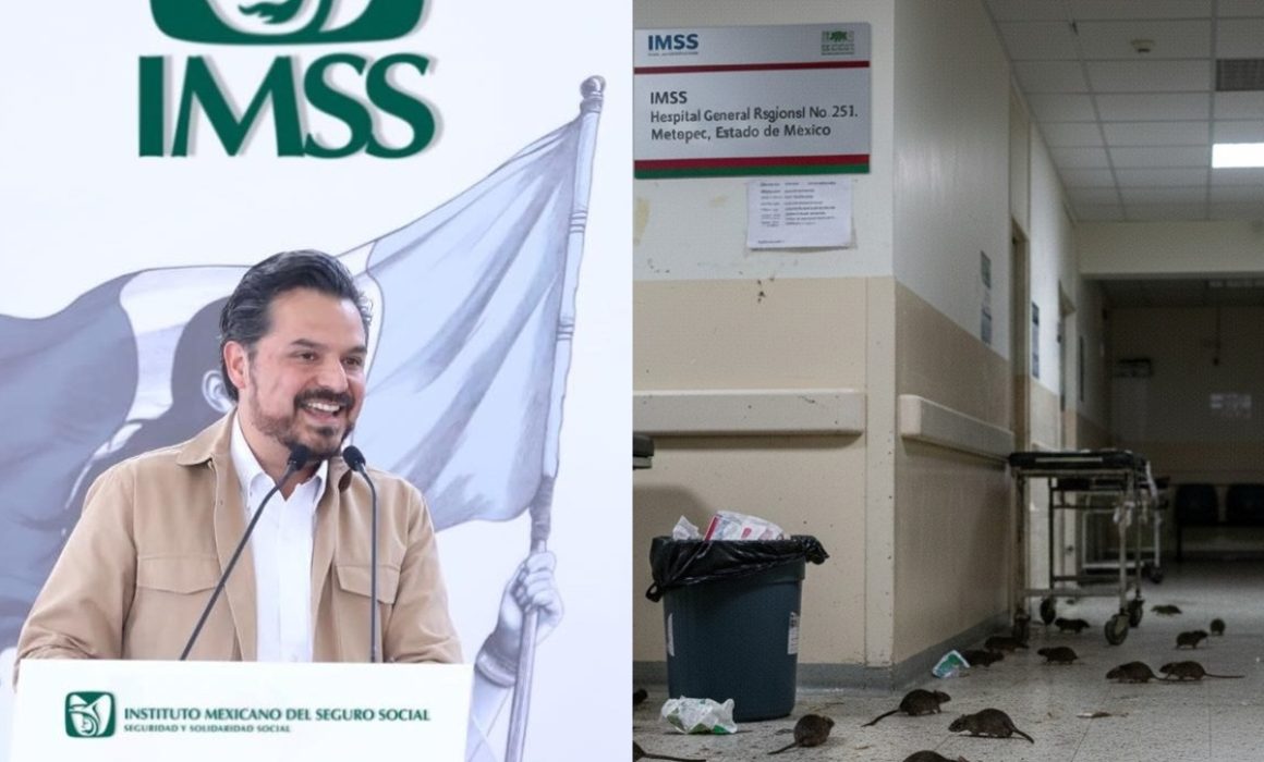 Invaden ratas Hospital del IMSS en Metepec; crece critica a Zoé Robledo