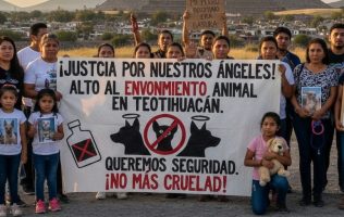 Investigan envenenamiento de perros en Teotihuacán; vecinos piden acción