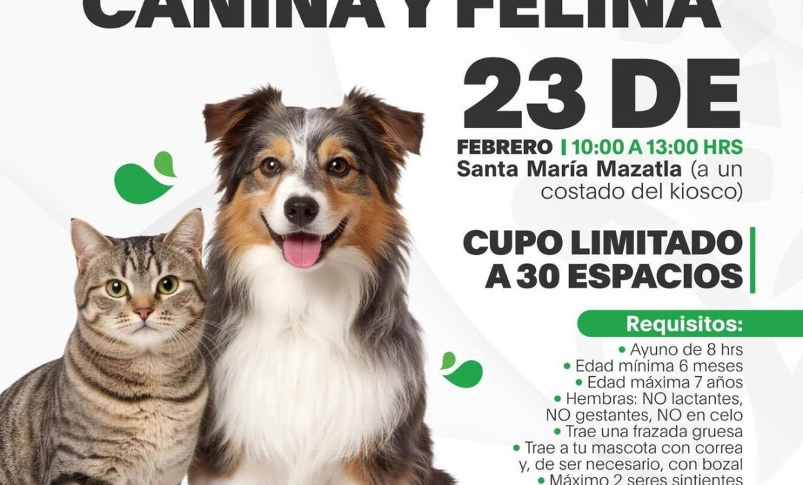 Invita Jilotzingo jornada de esterilización en Santa María Mazatla