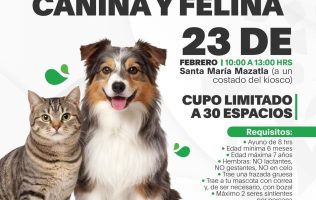Invita Jilotzingo jornada de esterilización en Santa María Mazatla
