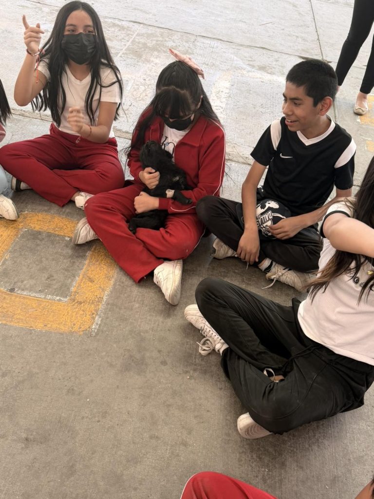 FOTO: Centro de Atención y Bienestar Animal Coacalco 2025-2027