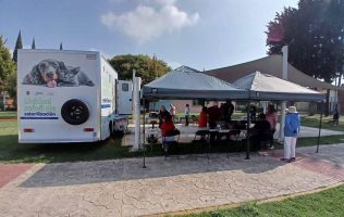 Llevan en Metepec servicios veterinarios a colonias con unidad móvil