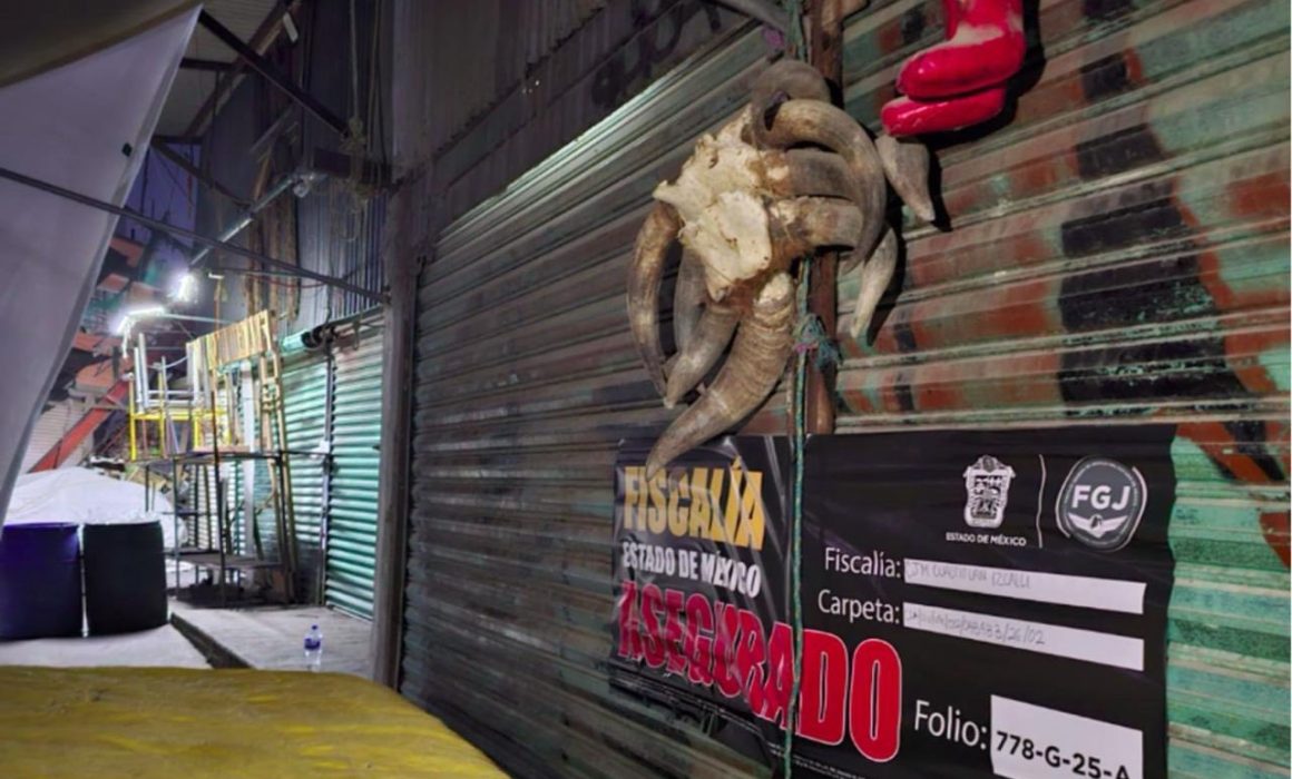 Logran rescatar de Cuautitlán a 162 animales y 47 restos óseos
