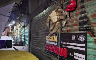 Logran rescatar de Cuautitlán a 162 animales y 47 restos óseos