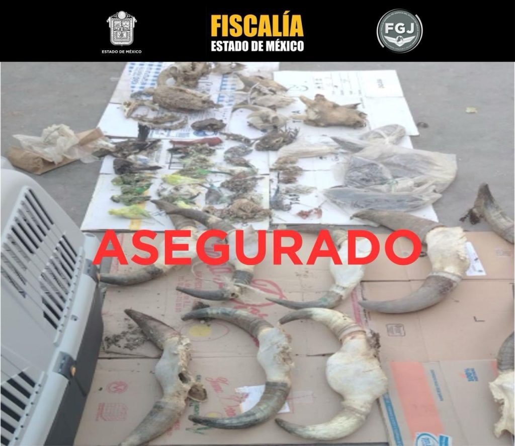 Fotos: FGJEM
