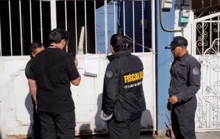 Participa gobierno de Izcalli en rescate de 7 perros maltratados