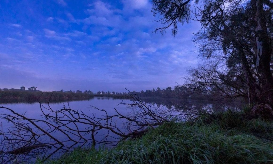 Protege UAEMex biodiversidad y promueve sostenibilidad en Las Maravillas
