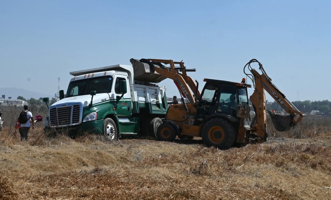 Realizan limpieza en humedal del Parque Ecológico Estatal Tecámac