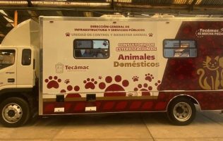 Refuerza Tecámac bienestar animal con clínica, albergue y unidad móvil
