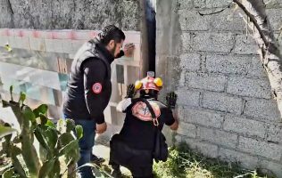 Rescatan a perrita atrapada entre bardas en Ecatepec durante 4 días