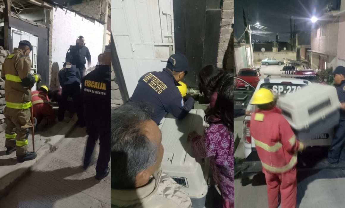 Rescatan animales maltratados en operativo nocturno en Los Reyes La Paz