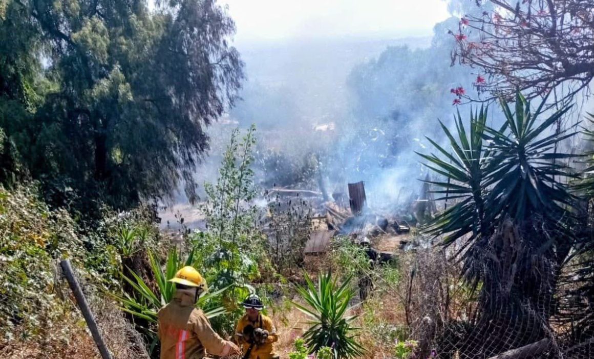 Rescatan bomberos a cinco perritos en Atizapán