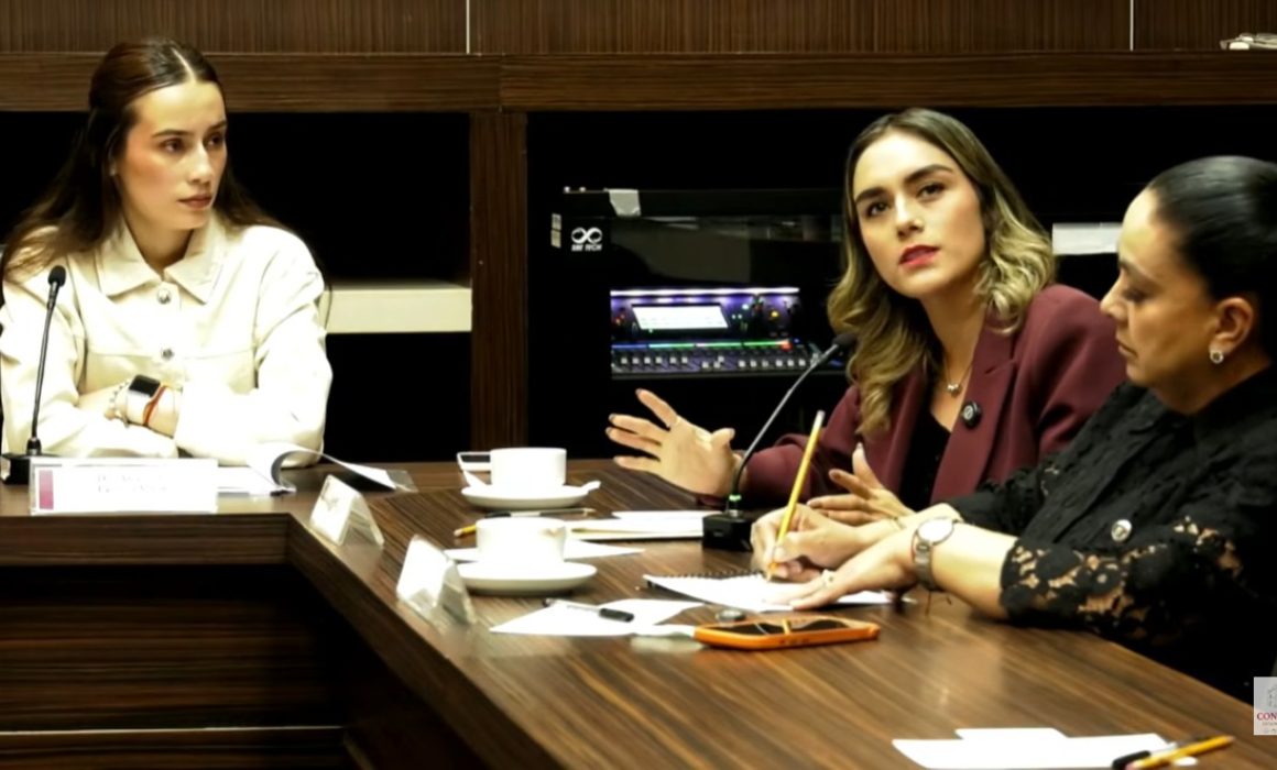 Respalda Zaira Cedillo Silva mayor representación juvenil en Edomex