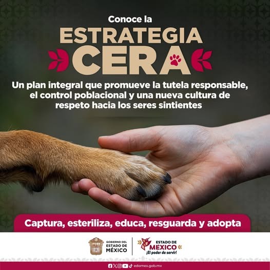 Fotos: Gobierno del Estado de México/Secretaría de Medio Ambiente del Estado de México