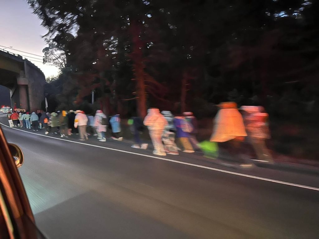 Fotos: informante vial